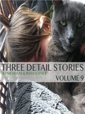 cover image of Three Detail Stories